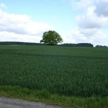 Ferienwohnung In Der Seenlandschaft - B48689 דירה *